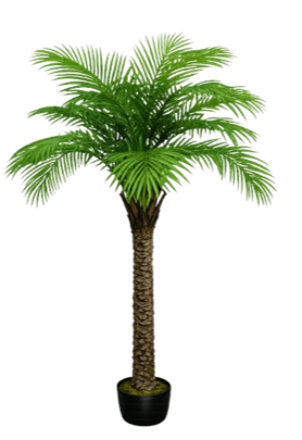 item-image